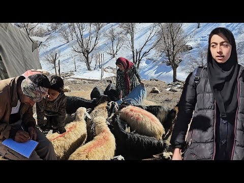 Help at the Camden House: Layla's cold behavior again - Mother helps bake bread🥖🍞💔😞