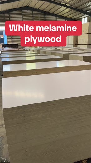 White Melamine Plywood: Ideal for Furniture Design