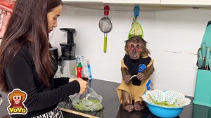 15K views · 1.7K reactions | Monkey YoYo Jr on Reels | Facebook