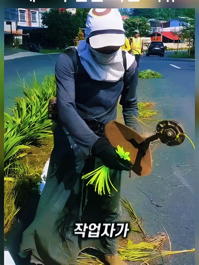 예초기 줄 교체와 브라질의 흑바닥 청소법