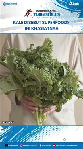 Why Is Kale Called a Superfood? Benefits and Risks Explained