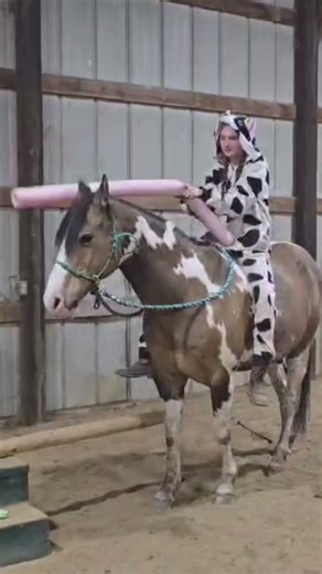 cow riding horse #horse #training #share