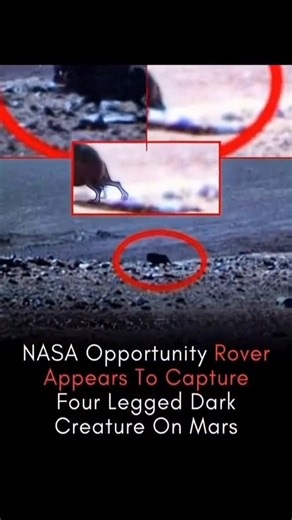 Entrepreneurlogy on Instagram: "Did NASA’s Rover Capture a Strange Four-Legged Creature on Mars? Internet Erupts A mysterious image captured by NASA’s Opportunity Rover • is going viral after viewers noticed what appears to be a dark, four-legged creature-like shape on the Martian surface 00. Some believe the figure looks animal-like, sparking intense debate about the possibility of life beyond Earth •g. Others argue it’s simply a case of pareidolia, where the human brain interprets rocks, shado