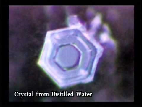 Messages From Water- Full Film | Masaru Emoto | The GOYS Life