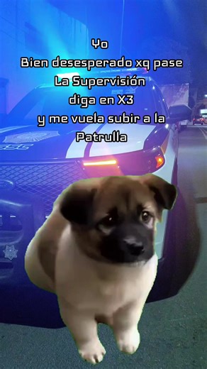 #Meme #KOKA'S Ya pasen Ptos..!!! #CapCut