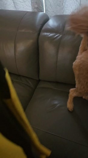 DIY Invincible Suit Transformation | Cosplay Challenge