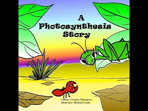 A Photosynthesis Story
