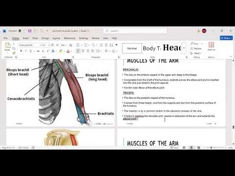 muscle | muscle of arm |MUSCLES OF THE BACK FUNCTIONS OF MUSCLE | BSN DENTAL MLT RADIOLOGY PART 5