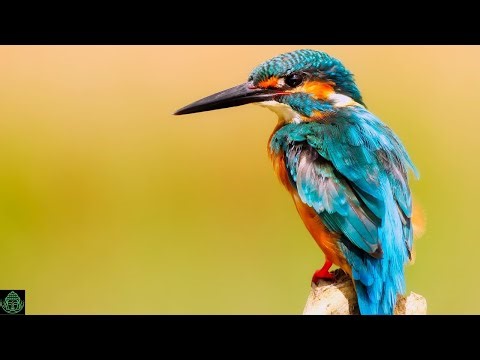 Μουσική χαλάρωσης με πιάνο