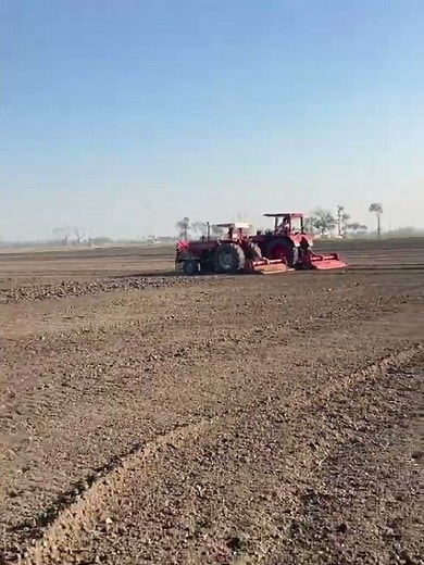 Belarus 820 tractor With Rotavator and harowing in field #385 #pushbacktractor #hayrack #powerharrow