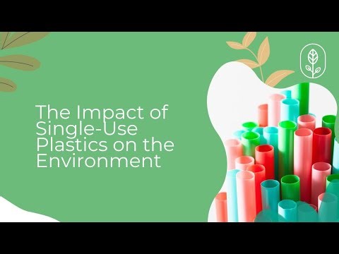 The Impact of Single-Use Plastics on the Environment (Tips to Reduce Plastic Consumption)
