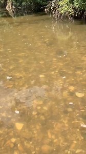 154K views · 1.6K reactions | Finding the geode #trending #rockhound #geode #crystals#seaglass#glass | Glass gruble | Facebook