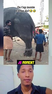 Men kijan yo monte elefan 😂😂🤣🤣 #videoreelsシ #trendingreels #funnyvideo #funny #reels #Stars #fun #meta | JGertin Moment Fun