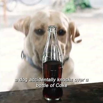 The Dog Poured Coke Into The Soup... 😱🥤