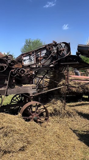 TikTok - Make Your Day