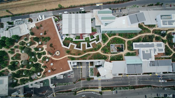 A first look inside Facebook's epic headquarters expansion that includes a redwood forest and a botanical garden
