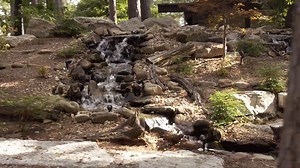 NWA Alive - Eureka Springs Treehouses