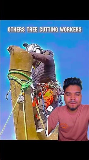 Tree cutting #funny #memes #cute #woodworking #troll #animals #wood #automobile #funnypost #funnyide