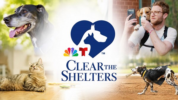 How to watch NBC's Clear The Shelters TV special featuring celebrities and heartwarming pet stories