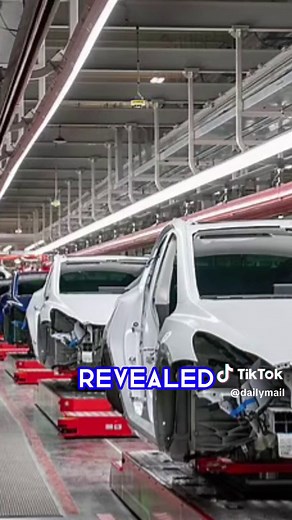 Daily Mail (@dailymail) - Tesla Robot Malfunction Injures Engineer at Texas Factory