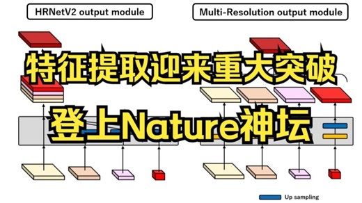 【特征提取】2025顶会首选，特征提取新突破，登上Nature！算法原理 代码分析 论文解读，导师散养的科研小白都能轻松出文！