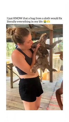 futuristx on Instagram: "📹 Video Description: The Sloth Hug This is a short, emotionally expressive video clip featuring a woman hugging a sloth. Setting: The scene appears to be in an outdoor, covered area, possibly near a body of water or a swampy area, based on the wooden structure and the flooded background visible between the wooden planks. Action: A young woman is holding a sloth, which has its arms wrapped around her neck in a hug. She is clearly overcome with emotion, displaying an expr