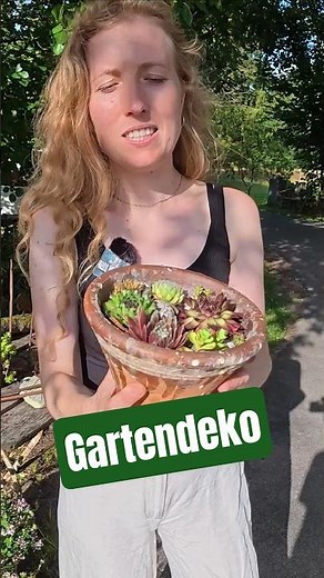 #DIY Gartendeko: Sempervivum im rustikalen Topfhalter 🪴 #decoration #garden #ytshorts #shorts