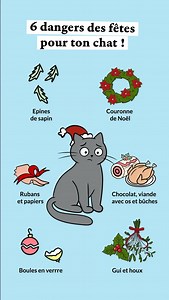 Les dangers de Noël pour nos chats 😼🎄… et quoi faire à la place ! 🌲 Épines de sapin : Elles peuvent perforer la bouche ou l’estomac si le chat les mâchouille. Préfère un tapis autour du sapin et passe l’aspirateur chaque jour. 🌺 Couronne de Noël : Les décorations, baies et paillettes peuvent être toxiques ou provoquer une obstruction. Accroche-la hors de portée, en hauteur. 🎁 Rubans & papiers cadeaux : Très attirants, mais risquent d’être avalés et de créer un blocage intestinal. Choisis de