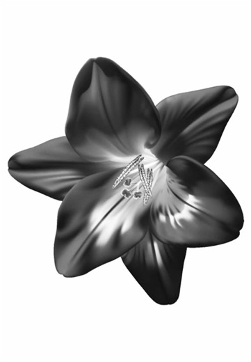 I Kissed a Girl Lyrics Video