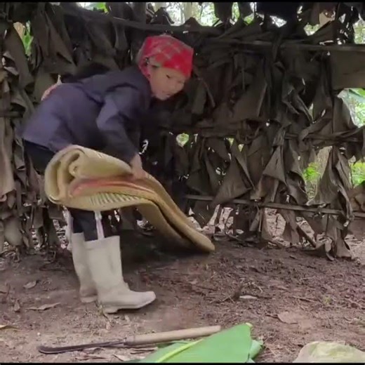 Pregnant Single Mother Works Hard Until She Gets Sick Alone in the Forest | Sad Life Story