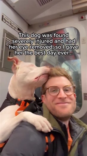 🐶 Maxine the Fluffy Corgi on Instagram: "One eye, full heart, can’t lose 🥹 ✨MEET MISTY SKYE✨ Misty came to the @nycacc with a corneal defect and ocular trauma, resulting in a surgery to remove her eye. She was then transferred to @bfas_ny where she’s been since late last year, and truly…that’s where the tough part of her story ends. Misty is fully healed, ridiculously sweet, playful, and so full of love. TBH I thought she would be reactive on her right side, but she was calm, gentle with every