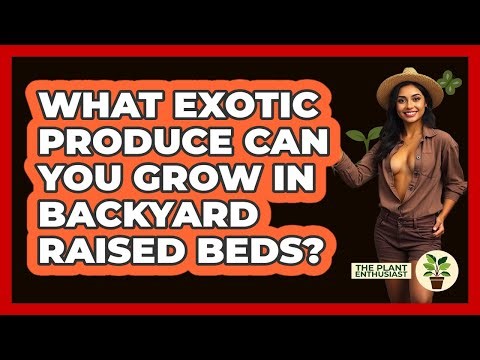 What Exotic Produce Can You Grow In Backyard Raised Beds? - The Plant Enthusiast