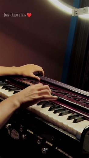 Jaan Se Guzarte Hain ❤️‍🩹 @realkhansaab . . #song #cover #viral #harmonium #fyppp. Owner: Priyanshu