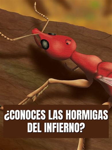 Descubrimiento de la hormiga del infierno prehistórica
