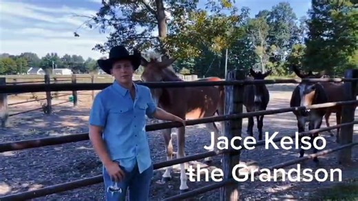 Ada Oklahoma Mule Sale on Reels