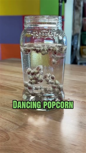 DIY your own $5 science kit (or less!) #stem #science #experiment