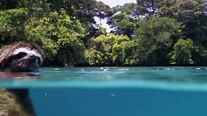 Le dimanche matin dans le bassin c’est toujours un peu ça... | Speedo France