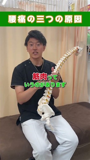 【腰痛の原因とは？】実は知らない腰痛の3つの原因を解説💡続きはInstagramでご覧ください！#尼崎市 #塚口 #武庫之荘 #腰痛 #慢性腰痛 #猫背 #骨盤矯正 #接骨院 #整骨院 #姿勢改善