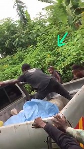 4.9K views · 21 reactions | Random Humor on Reels | Facebook