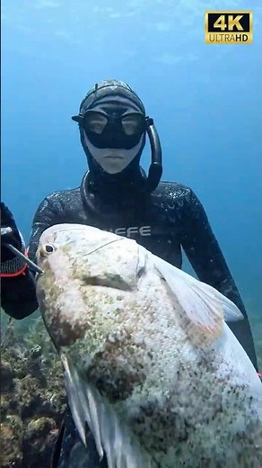 EPIC Spearfishing Action! Diving Deep Into the Blue with Riffe Gear in 4K #spearfishing