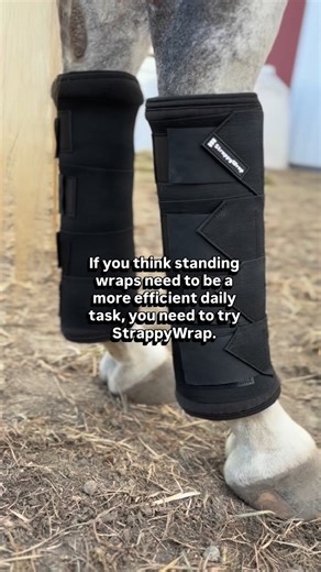 StrappyWrap™ | Ultimate Quick Apply Horse Wraps | Equestrian horror story: the mountain of tangled wraps in the dryer 😅 Think of all the other tasks you could be getting done instead of... | Instagram