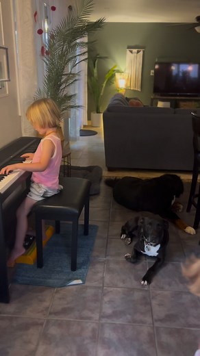 Words by Juni (3 years old) 🫶🏻Music by Max (6 years old) 🎹🐾 When our sweet Rufio was rushed to the vet for a sudden emergency situation, Max and I were left home feeling scared and sad. I sat on the floor and cried. …and he played piano. He channeled his fears and his hopes into his music. I knew what he was playing was important, so I recorded the audio on my phone and continued to weep. After we lost Rufio, our family had lots of big talks about it. We all process things in our own way. I 