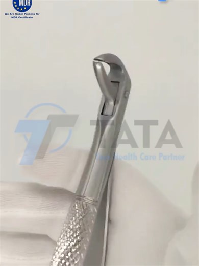 Tooth Extraction Forceps - High-Quality Dental Instruments