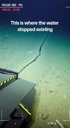 Mysteries of the Deep Sea at 4,800 Meters