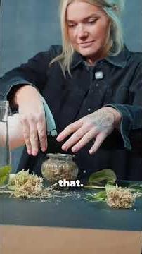 How to propagate plant cuttings in sphagnum moss — Part 2 of our propagation series.