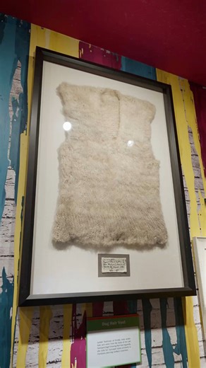 Dog hair on your clothes? Annoying. Dog hair AS your clothes? Unbelievable! 🐶This one-of-a-kind vest is knitted entirely from dog hair! Artist Lyndall Toothman creates cozy winter gear using the hair she shaves from her own pups. These furry fashion statements are especially popular with Floridians heading north for winter!Come see this PAW-sitively unique piece for yourself at Ripley’s Believe It or Not! Gatlinburg! https://bit.ly/4fRaP1y | Ripley's Believe It or Not!