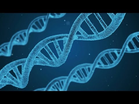 How to catch a killer with your own DNA