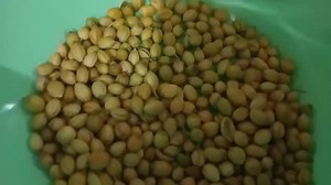 48K views · 583 reactions | ਦੋ ਕਮਾਲ ਦੀਆ ਕਿਚਨ ਟਿਪਸ two wonderfull kitchen tips | Veerpal Kaur Sekhon | Facebook