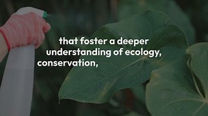 The Role Of Botanical Gardens In Environmental Education