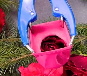 528K views · 429 reactions | Ice making ideas to make your parties even cooler! | 5-Minute Crafts | Facebook